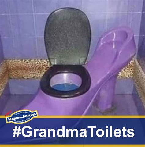 Toilets Your Grandma Would Like Morris Jenkins