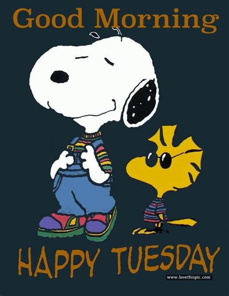 Monday is finished, so how about we appreciate the remainder of the week in good morning tuesday. Good Morning, Happy Tuesday Pictures, Photos, and Images for Facebook, Tumblr, Pinterest, and ...