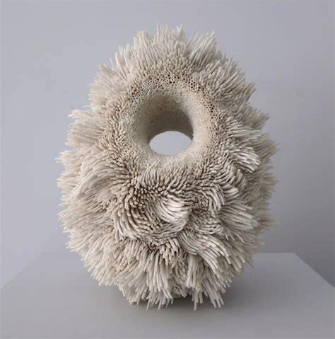 Artist Creates Textural Sculpture Art Made From Thousands Of Seashells