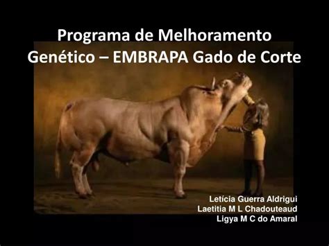 PPT Programa de Melhoramento Genético EMBRAPA Gado de Corte