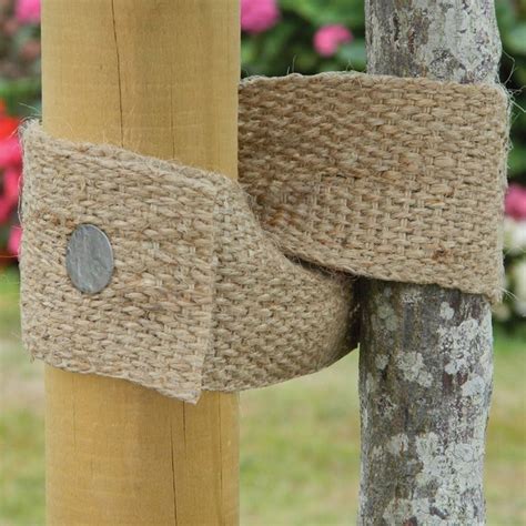 Buy Natural Jute Tree Tie Webbing Delivery By Waitrose Garden