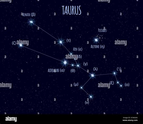 Taurus The Bull Constellation Vector Illustration With The Names Of