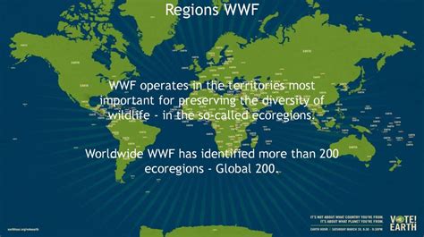 Wereld natuur fonds, world wildlife fund, wereld natuurfonds, wwf, wnf, wereldnatuurfonds, wwf international (nl); World wild fund for nature - online presentation