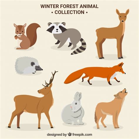 Cute Winter Forest Animals Set Free Vector