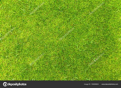 Top View Of Natural Green Grass Texture Aerial View Of Park — Stock