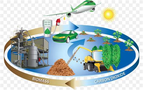 Biomass Biofuel Renewable Energy Png 800x516px Biomass Alternative