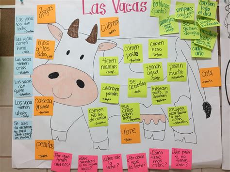 Cow Anchor Chart Questions Schema Vocabulary Facts Farm Unit