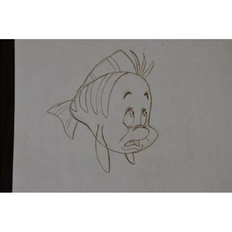 Flounder Little Mermaid Original Movie Drawing Disney