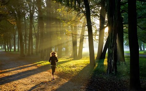 Running Girl Sunlight Feel Mood Trees Grass Forest Wallpapers Hd