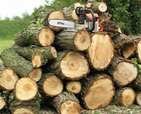 Stack Of Logs With Chainsaw Alt Arb Ltd