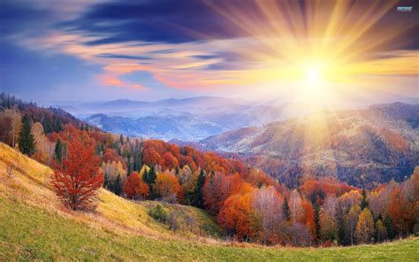 Bright Sunrise Wallpapers 4k Hd Bright Sunrise Backgrounds On