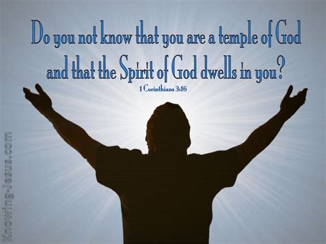61 Bible Verses About Holy Spirit