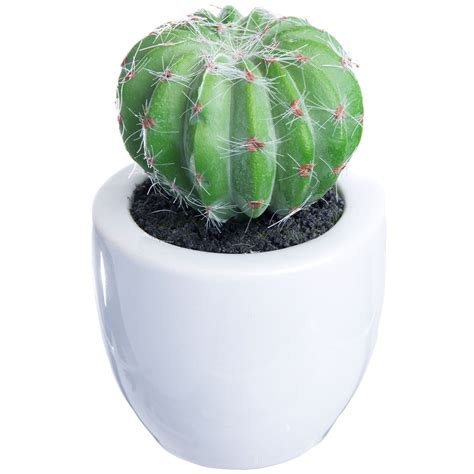Round Cactus White Pot 6 X 6 In At Home