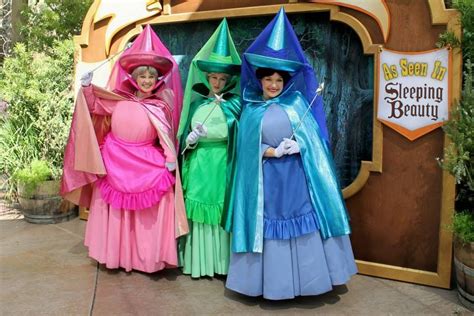 Three Good Fairies Disney Characters Costumes Disney Princess