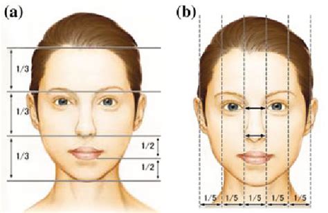 figure 2 4 from chapter 2 typical facial beauty analysis semantic scholar