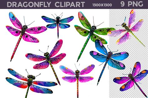 Colorful Dragonfly Clipart Black