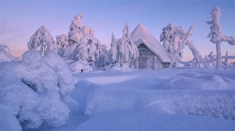 Lapland In Winter Backiee