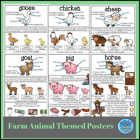 Farm Animals Posters Animal Body Parts Anchor Charts Farm Animals