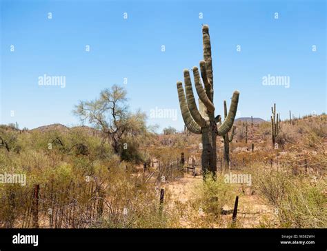 Arizona Desert Southwest Scenic Landscape Stock Photo Alamy