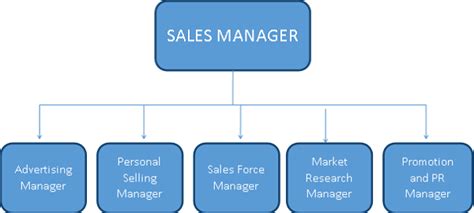 Sales Organization Structure