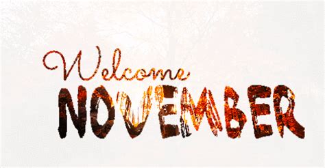 Welcome November Pictures Photos And Images For Facebook Tumblr