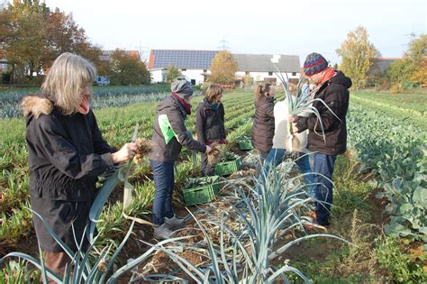 Solidarische Landwirtschaft Solawi Und Das Grüne Wahlprogramm Die