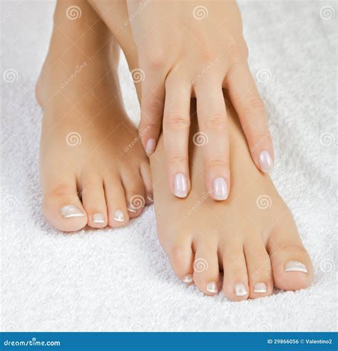 Beautiful Female Feet Stock Photo Image Of Care Manicure 29866056