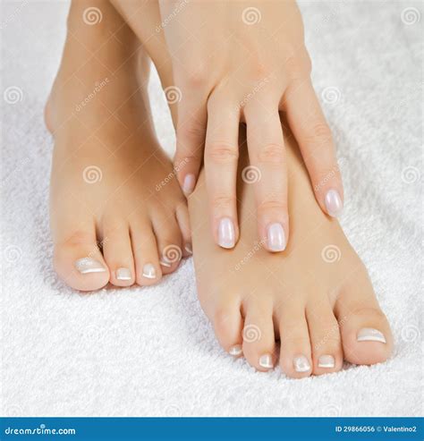 Beautiful Female Feet Royalty Free Stock Image - Image: 29866056
