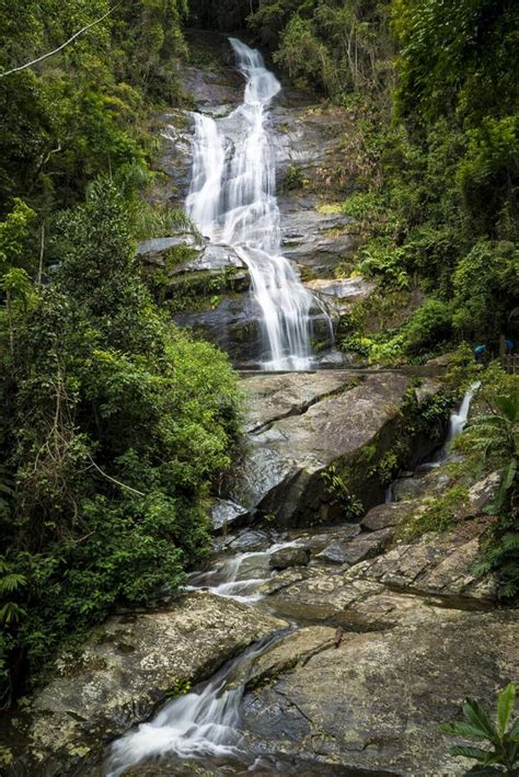 Rio De Janeiro Waterfall In Tijuca Forest Stock Image Image Of Rock