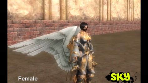 Silkroad The New Guardian Angel Dress Youtube
