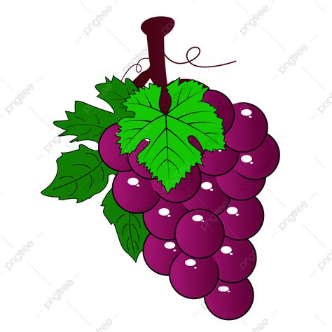 Gambar Vektor Kartun Anggur Anggur Buah Kartun Png Dan Vektor Dengan Images And Photos Finder