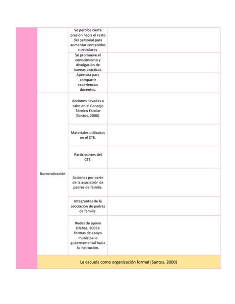 Plan De Observación By Kinne Franco Issuu