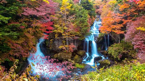 Japan 2021 Autumn Leaves Forecast When And Where To See The Best Foliage