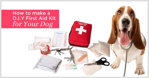 How To Make A First Aid Kit For Your Dog Blog Petcloud