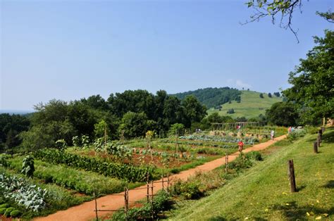 Monticello Vegetable Garden The Blissful Gardeners