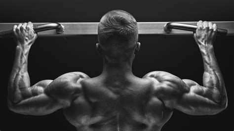 The 4 Most Important Exercises You Need To Do In Order To Get Jacked Brobible
