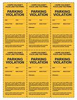 Parking Ticket Software Pictures
