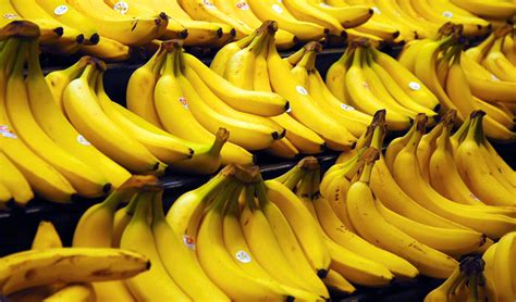 Australian Bananas Could Save Lives Australian Geographic