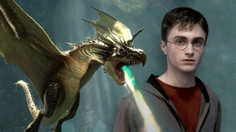 Search, discover and share your favorite harry potter in concert gifs. Harry Potter Dragons - Our Top Ten - Dragon University