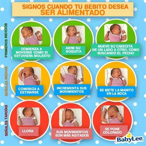 Signos Que Indican Que Tu Bebe Tiene Hambre Bebe Baby Baby Care Lol