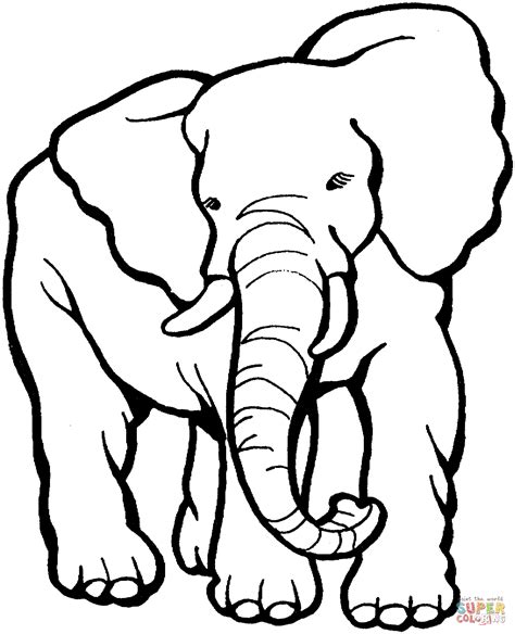 Desenhos De Elefante Para Colorir E Imprimir Muito Fácil