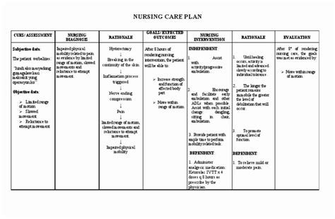 Examples Of Nursing Care Plans For Constipation Peterainsworth