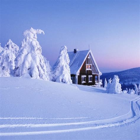 10 New Snowy Christmas Scenes Photos Full Hd 1080p For Pc