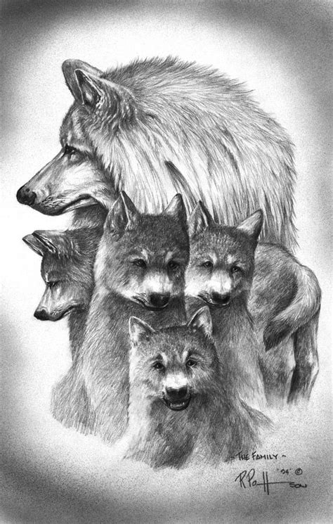 Do the outlining on your figure. Tundra Wolf Family Drawing by Bob Patterson