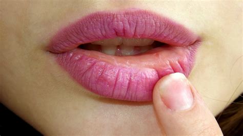 Free Images Petal Pink Lip Mouth Close Up Face Nose Cheek Eye