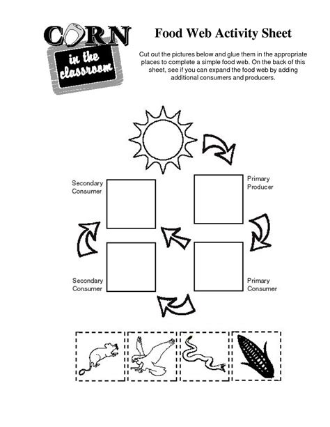 17 Food Chain Worksheet Cut And Paste