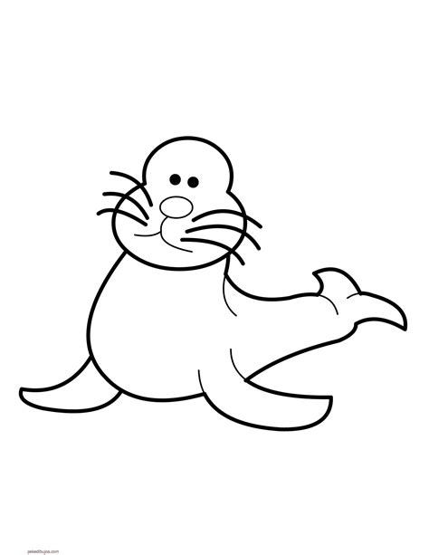 Foca en el circo dibujos para colorear clic para imprimir: Dibujos de focas para colorear
