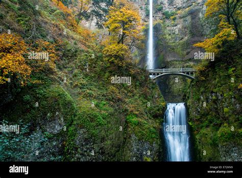 Multnomah Falls In Autumn In The Columbia Gorge National Scenic Area