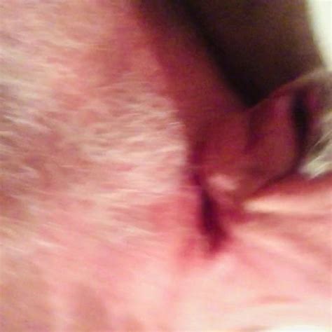 Grandpa Gay Sex Australian Hd Porn Video 17 Xhamster Xhamster