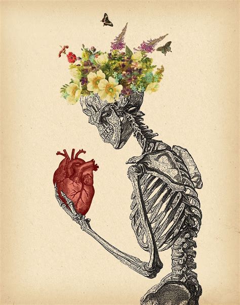 Pin By Isaiahgardier On Shakespearen Human Anatomy Art Biology Art